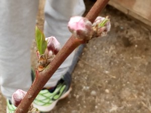 IMG_20170221_121535