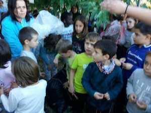 20171026_162333_resized
