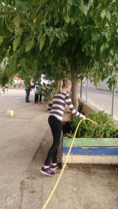 IMG-20171110-WA0011
