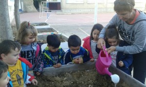 IMG-20171117-WA0000