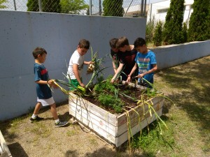IMG-20180529-WA0025