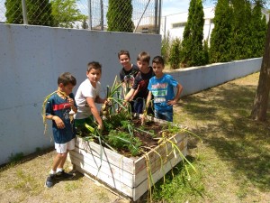 IMG-20180529-WA0027