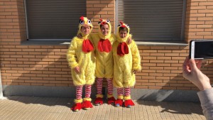 carnaval miralsot